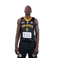 Basket Sticker by Stade Rochelais