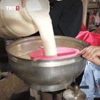 Baby Diffuse GIF by TRT