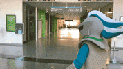 Community College What GIF by College of Lake County
