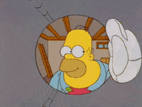 loop hat GIF
