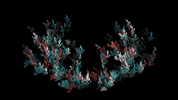 TYangLun christmas nature colorful plants GIF