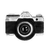 Photo Click Sticker by shopmonkees