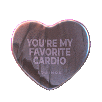 Valentines Day Love Sticker by Equinox