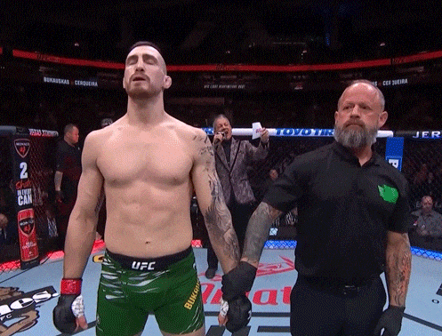 Ufc Win GIF by The Baltic Gladiator