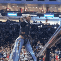 rodeioedit pbr pbr brasil rodeioedit pbr brazil GIF