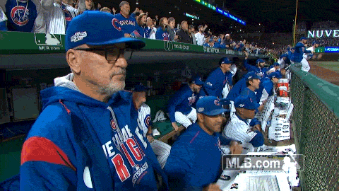 Chicago Cubs Baseball GIF by MLB