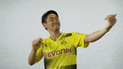 borussia dortmund violin GIF by Bundesliga