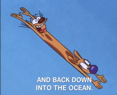 nicksplat GIF