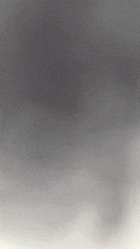Crk Cookierun GIF by Youtooz