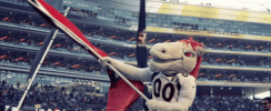 Denver Broncos Football GIF by Broncos