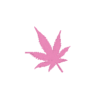 Thc Sticker
