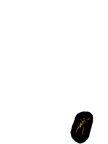 bees Sticker by Meggan Joy