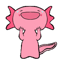 nieaaaaaa laugh axolotl laughcry einaniest Sticker