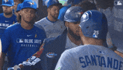 Blue Jays Baseball GIF by Toronto Blue Jays