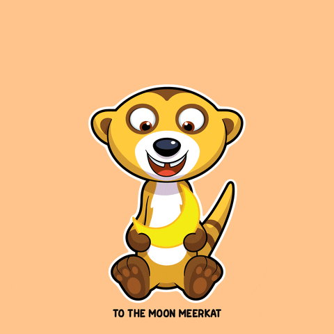 To The Moon Illustration GIF by VeeFriends