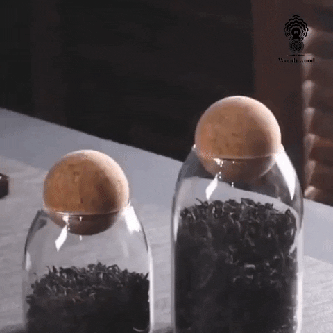 Wondrwood_Home_Decor giphygifmaker GIF