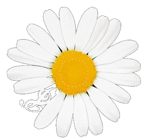 G Dragon King Sticker