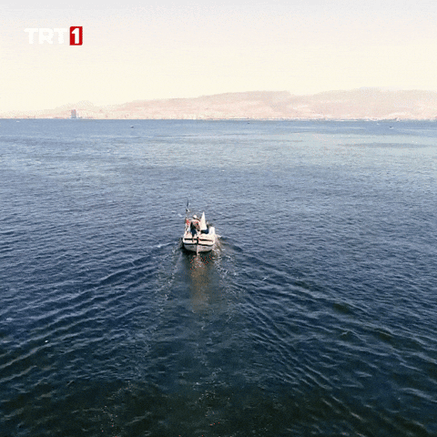 Forget Omega 3 GIF by TRT