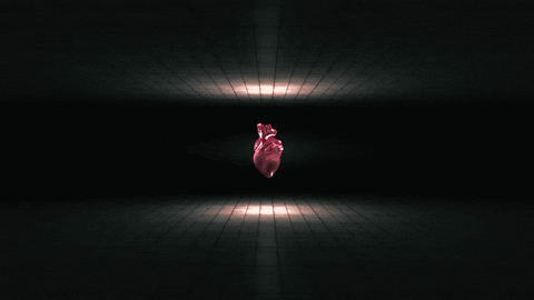 loop heart GIF by wilbrand