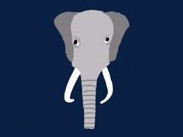 Elephant Ears GIF by Barbara Pozzi