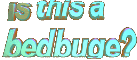 Cat Text Sticker by dalvago