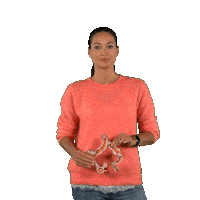 vitamelle detox melanie darmgezondheid vitamelle Sticker