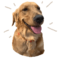 Dog Yumi Sticker by GripsMX