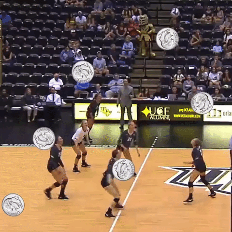 ucf volleyball GIF by UCF Knights