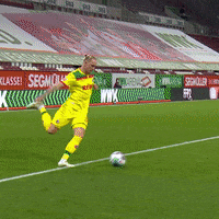 1 Fc Cologne Football GIF by 1. FC Köln