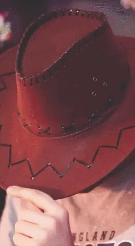gif-vif giphyupload nerf cowboy GIF