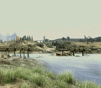 fo GIF