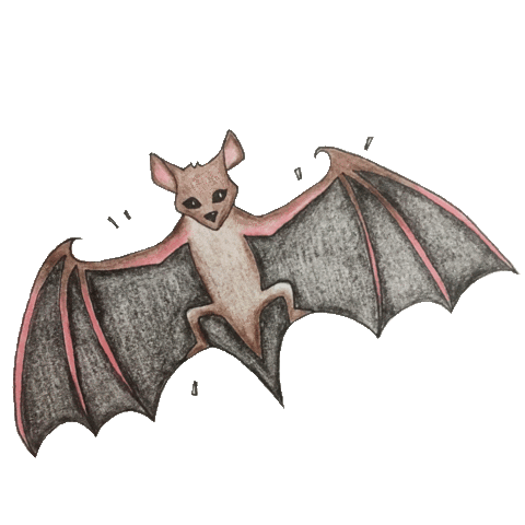 helpaustinnow fun animals color fly Sticker