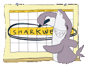 Dont Forget Save The Date Sticker by Shark Week