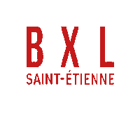 Saint-Etienne Bar Sticker by France_Bieres