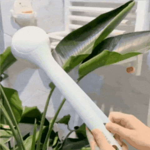 FamiliaTrea giphyupload GIF