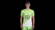 Happy Celebration GIF by VfL Wolfsburg