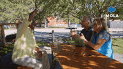 Happy Life GIF by MolaTV