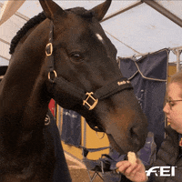 feed me eating GIF by FEI Global