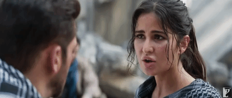 Tiger Zinda Hai GIF