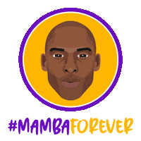 Los Angeles Lakers Sport Sticker by SportsManias