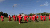 rugby league rlwc GIF by NRL