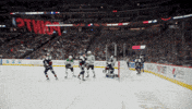 Happy Celebration GIF by Dallas Stars