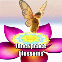 Wisdom Lotus GIF by BuddhaFlyJourney