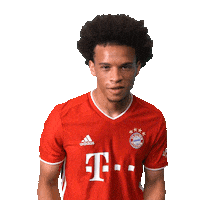 Football Yes Sticker by FC Bayern Munich