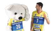 Volleyball Sticker by Draisma Dynamo