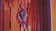 fun party GIF by GOLDN