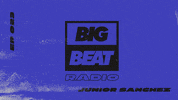 wearebigbeat dance music house edm GIF