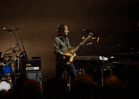 Wilcoworld wilco tweedy jeff tweedy GIF