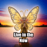 Live In The Now Wisdom GIF by BuddhaFlyJourney