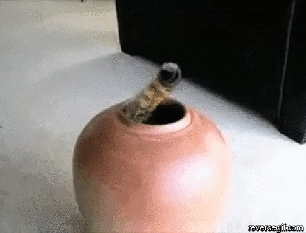 pot clay GIF